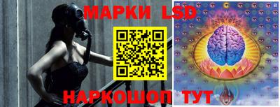 apvp Краснодар