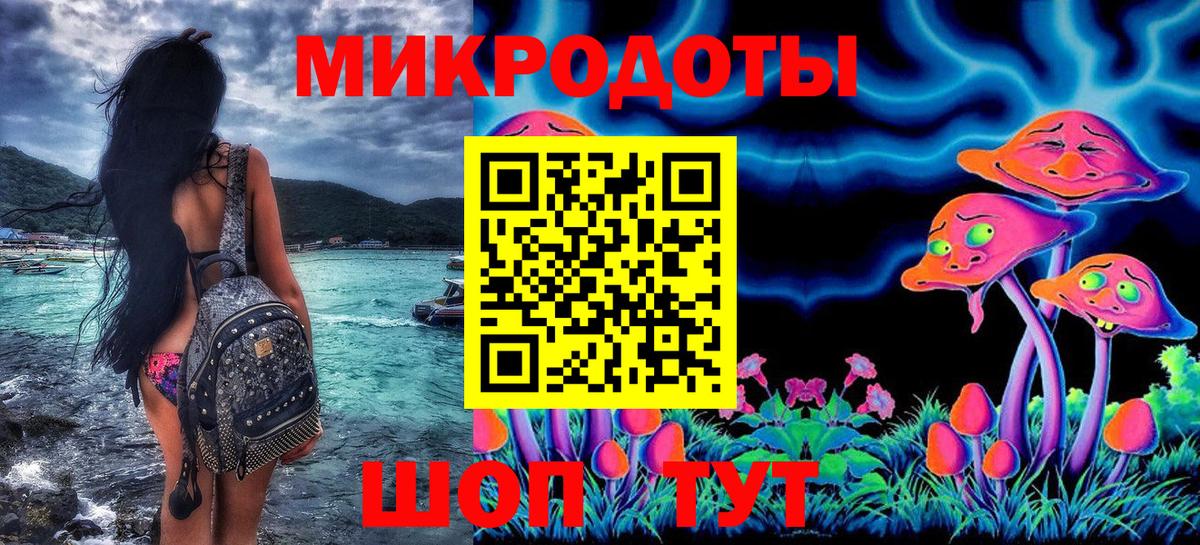 Галлюциногенные грибы Psilocybe Кольчугино