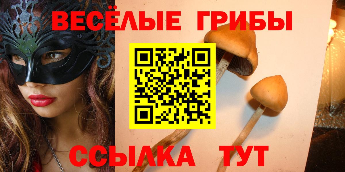 Кольчугино  Псилоцибиновые грибы MAGIC MUSHROOMS  Вход с VPN  купить наркоту  Галлюциногенные грибы GOLDEN TEACHER 