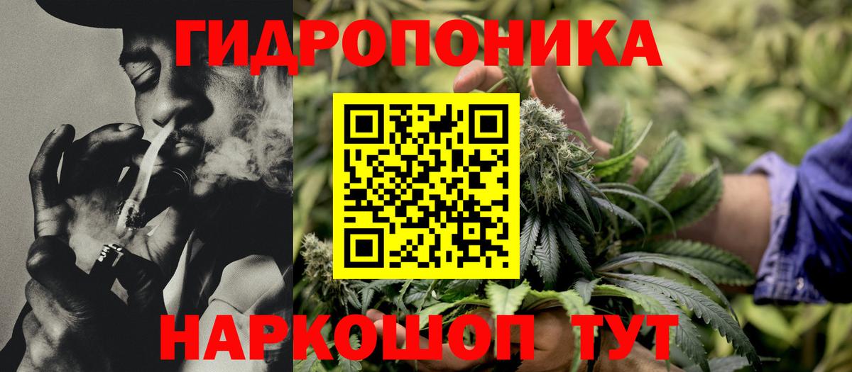 Марихуана гибрид  Бошки марихуана Amnesia  Кольчугино  Бошки марихуана AK-47  Вход с VPN 